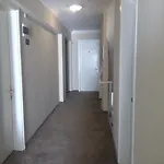 ニケア セルチュク