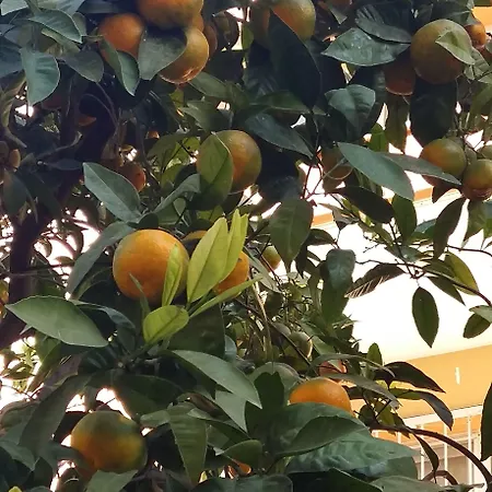 Nicea Hotel Selçuk