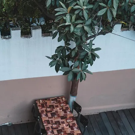 Hotel Nicea Selçuk